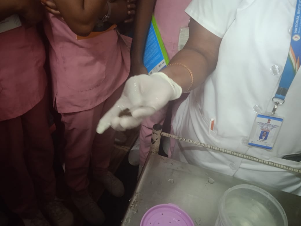 Field Visit Siddha Hospital