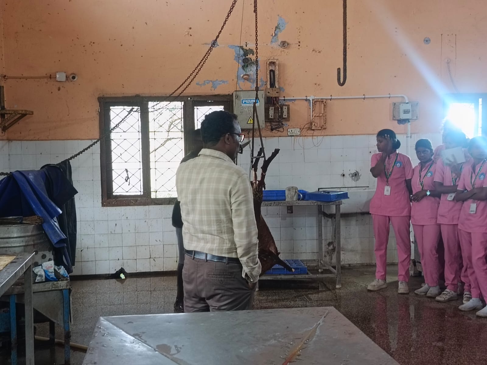 Slaughter House Visit