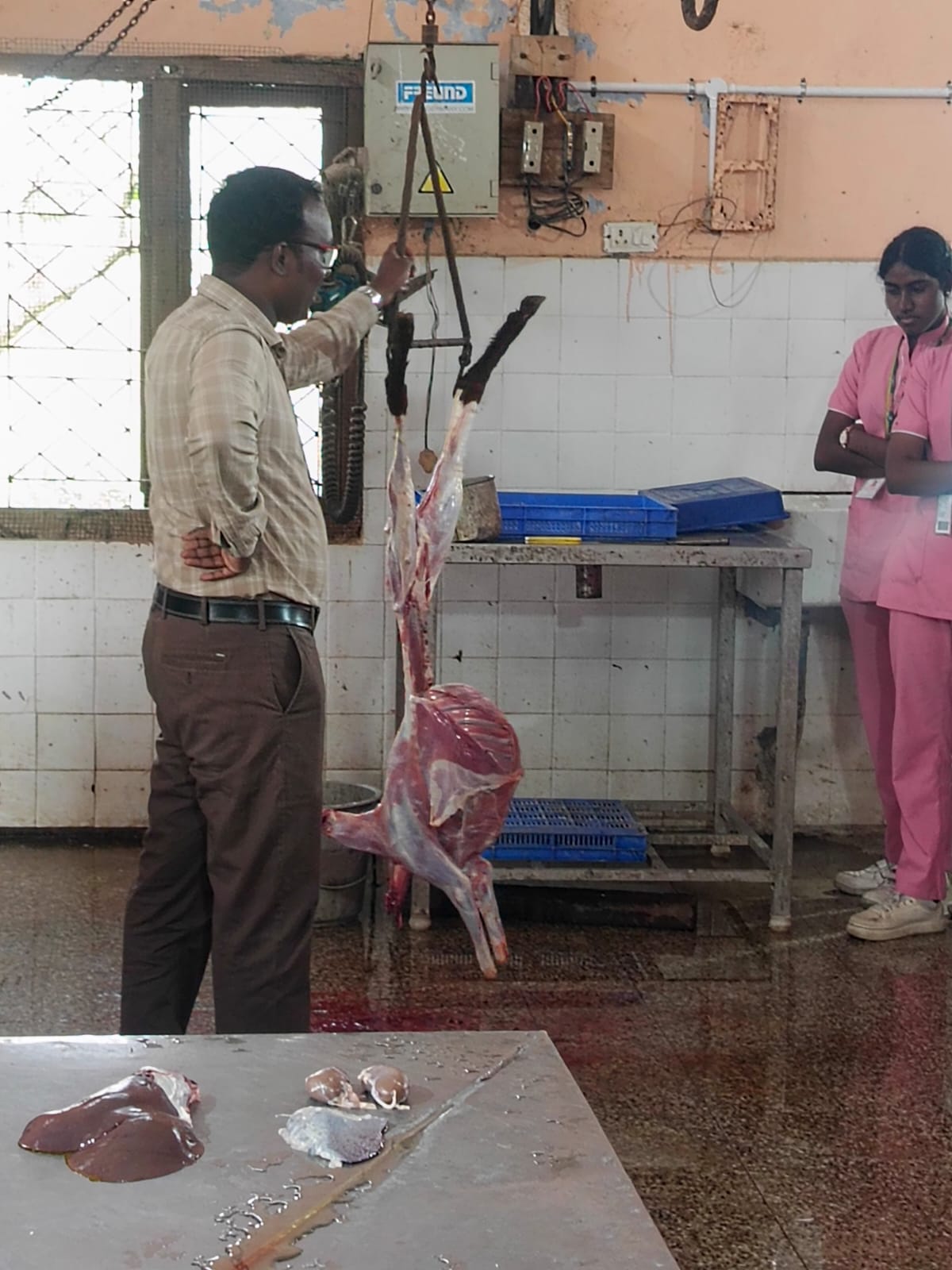 Slaughter House Visit