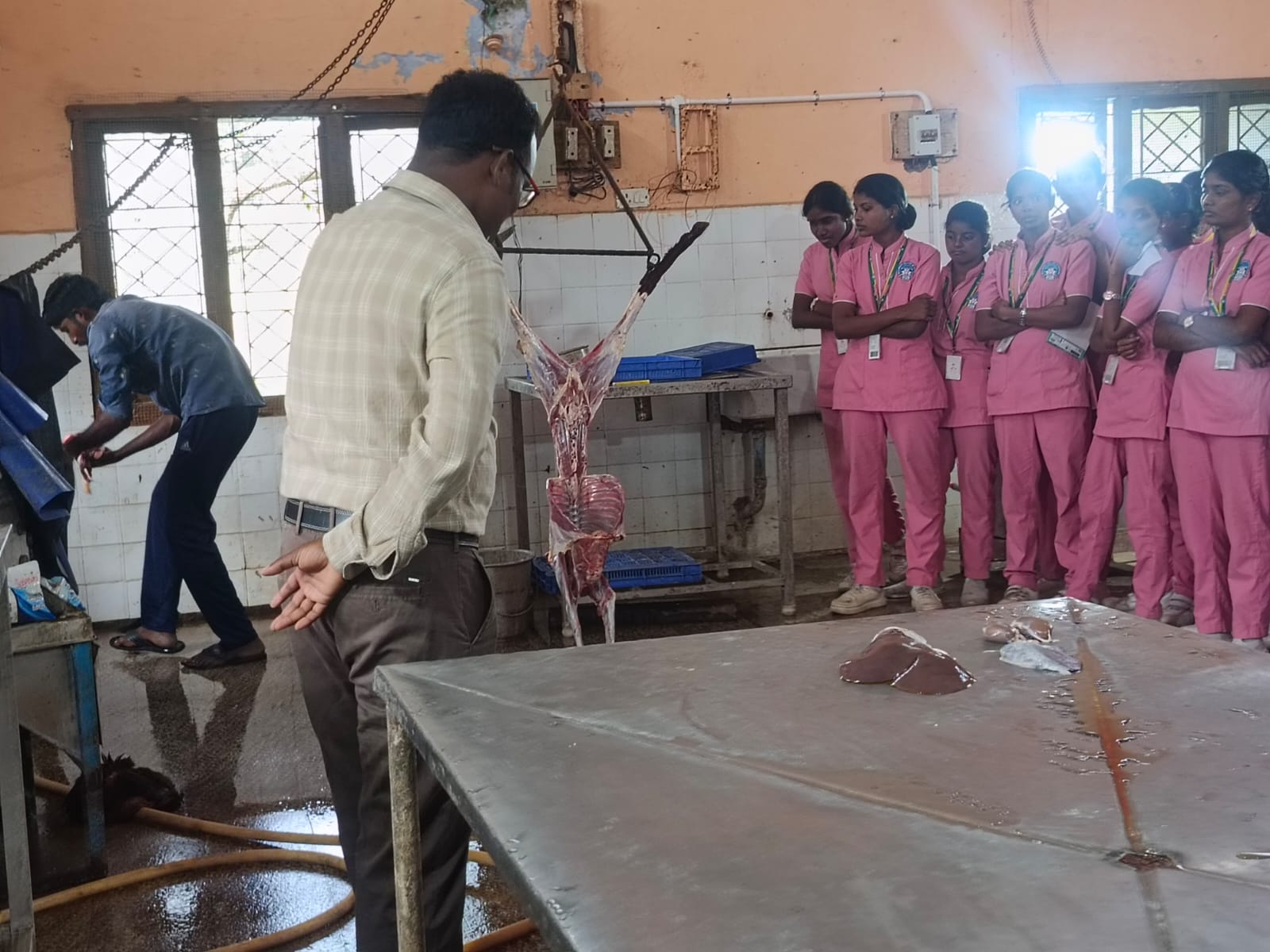 Slaughter House Visit