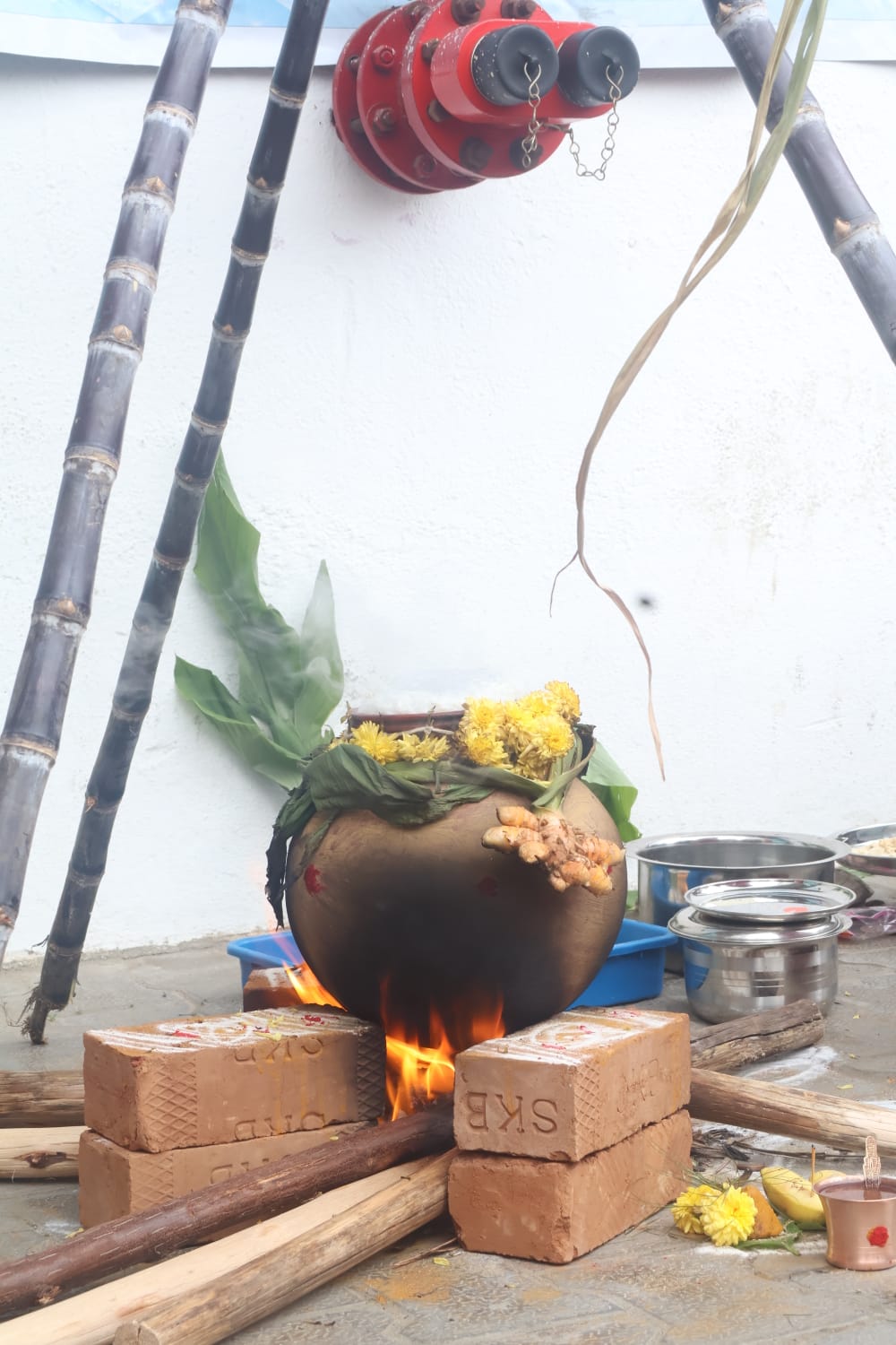 Pongal Celebration